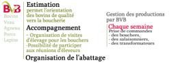 Schéma d'organisation de la filière boucherie