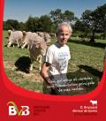 D Bronsard