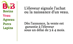 Organisation de la filière veau Bio.
