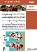 agrobio-fiche-bovins