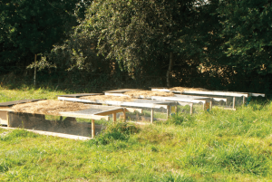 cages-plein-air-lapin