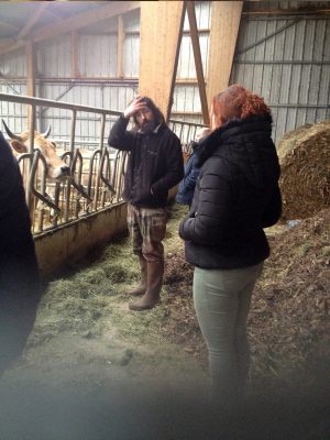 Ferme de Lann Kerhaute - Biocoop Les 7 Épis Lorient